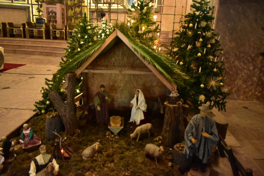 Búsqueda de albergue